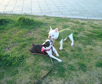 DSC07558_R