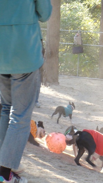 DSC00480_R