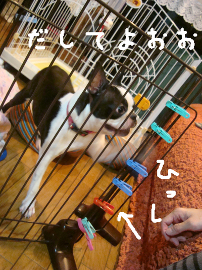 BlogPaint