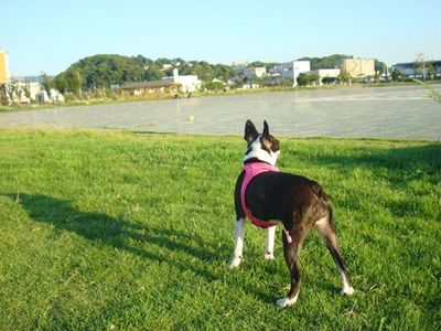 DSC04725_R