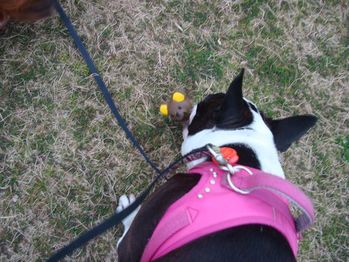 DSC07568_R
