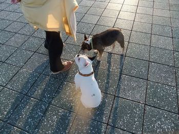 DSCF0136_R