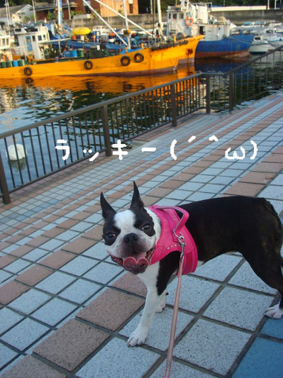 BlogPaint