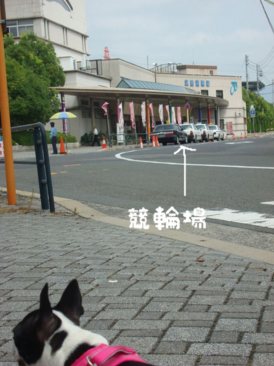 BlogPaint