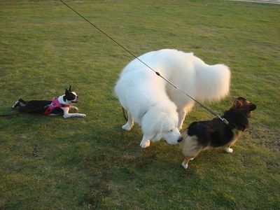 DSC05735_R
