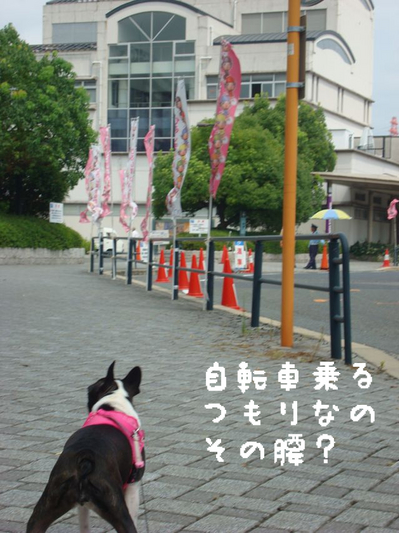 BlogPaint