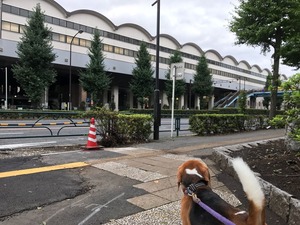 20170817_2