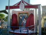 LIVE CIRCUS