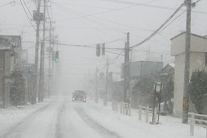 20100106_744033