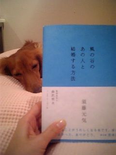 img20061207_t