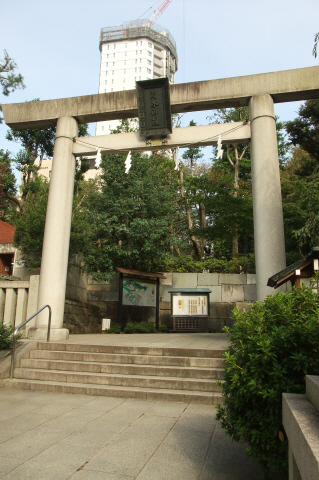 06421819.jpg