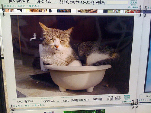 写真02