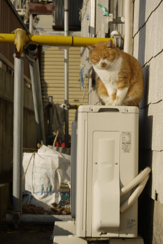 2011_1216_090022AA