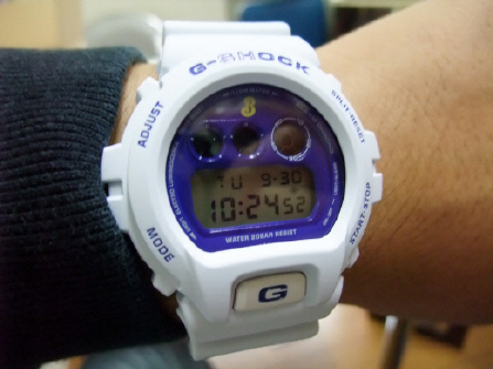 312586de.jpg