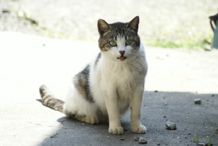 387d4c34.jpg
