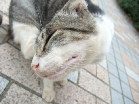 48383c2f.jpg