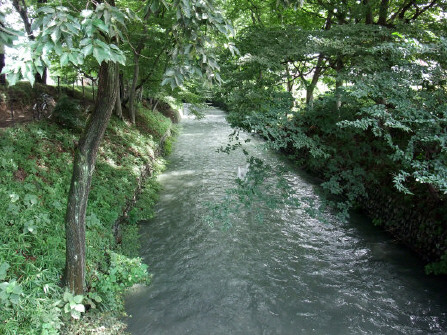5773c702.jpg