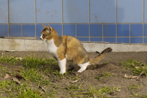 2012_0106_085827AA-02