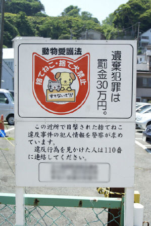 84cef354