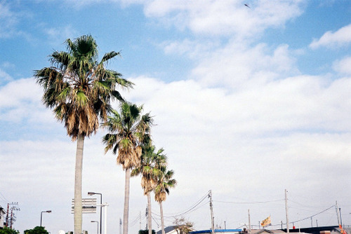 FH000009-02