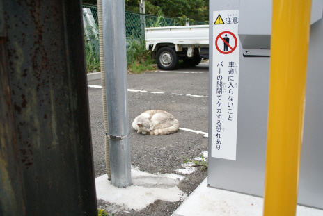 7a44ec82.jpg