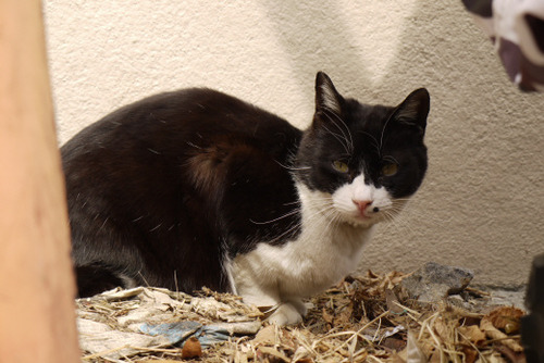 2012_0226_133615AA
