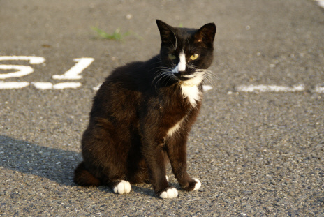 8108d628.jpg