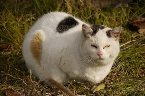 2012_0106_092110AA