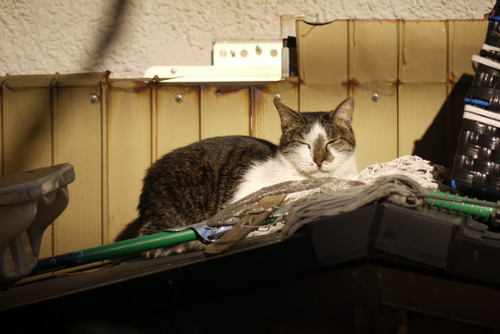 2011_1211_125303AA