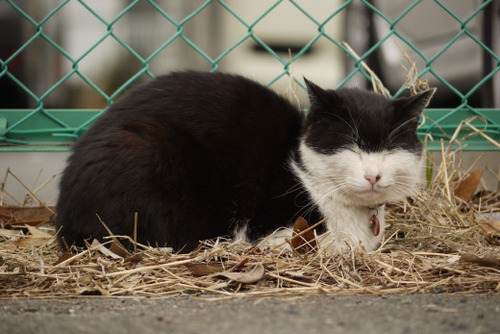 2012_0226_104847AA