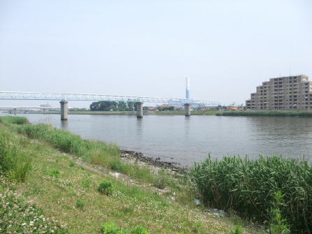 a31a4b3a.jpg