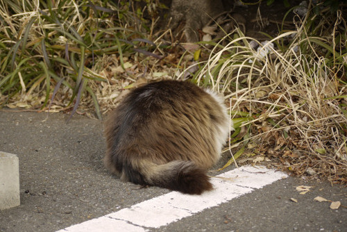 2012_0106_091800AA
