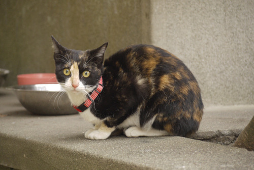 2012_0106_082911AA