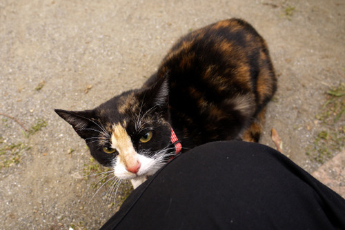 2012_0107_081728AA-02