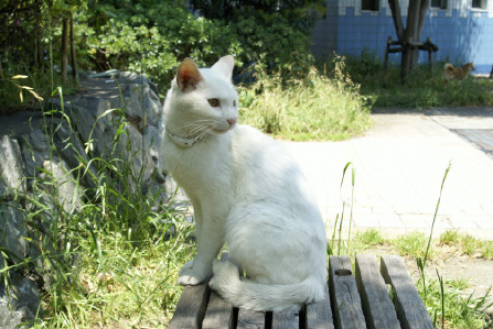 c23376b7.jpg