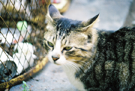 c627c452.jpg