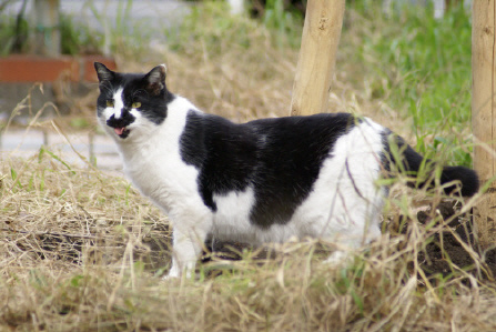 c8ef7319.jpg