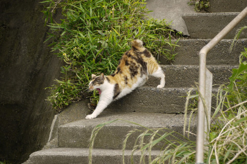 2010_0527_134350(1)-02