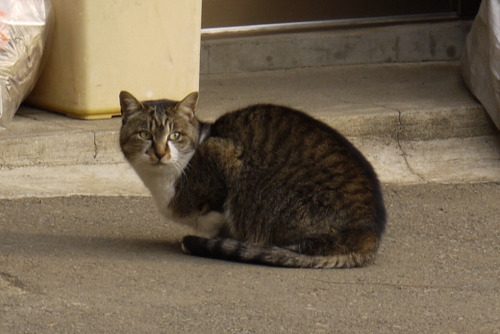 2012_0106_080945AA-02