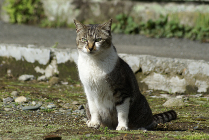 d4fe8a95.jpg