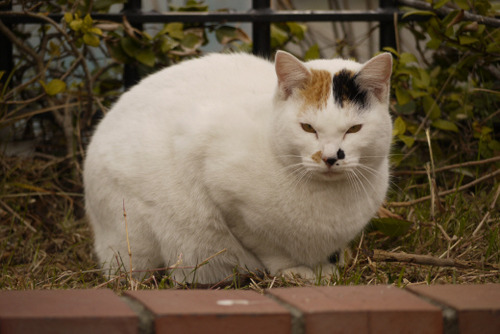2012_0107_090147AA