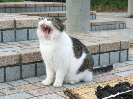 f11f9e9a.jpg