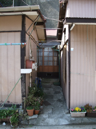 f41cb303.jpg