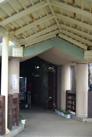 f4e3355e.jpg