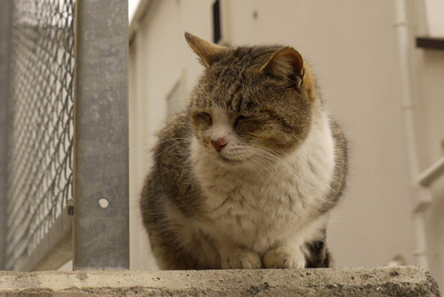 2012_0226_103044AA