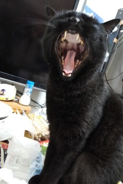 IMG_20180329_1320123