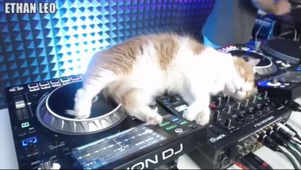 l_kanon1808_dj1