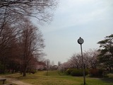 今日の空