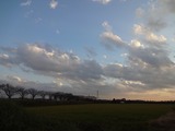 今日の空