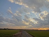 今日の空
